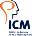 Logo Icm